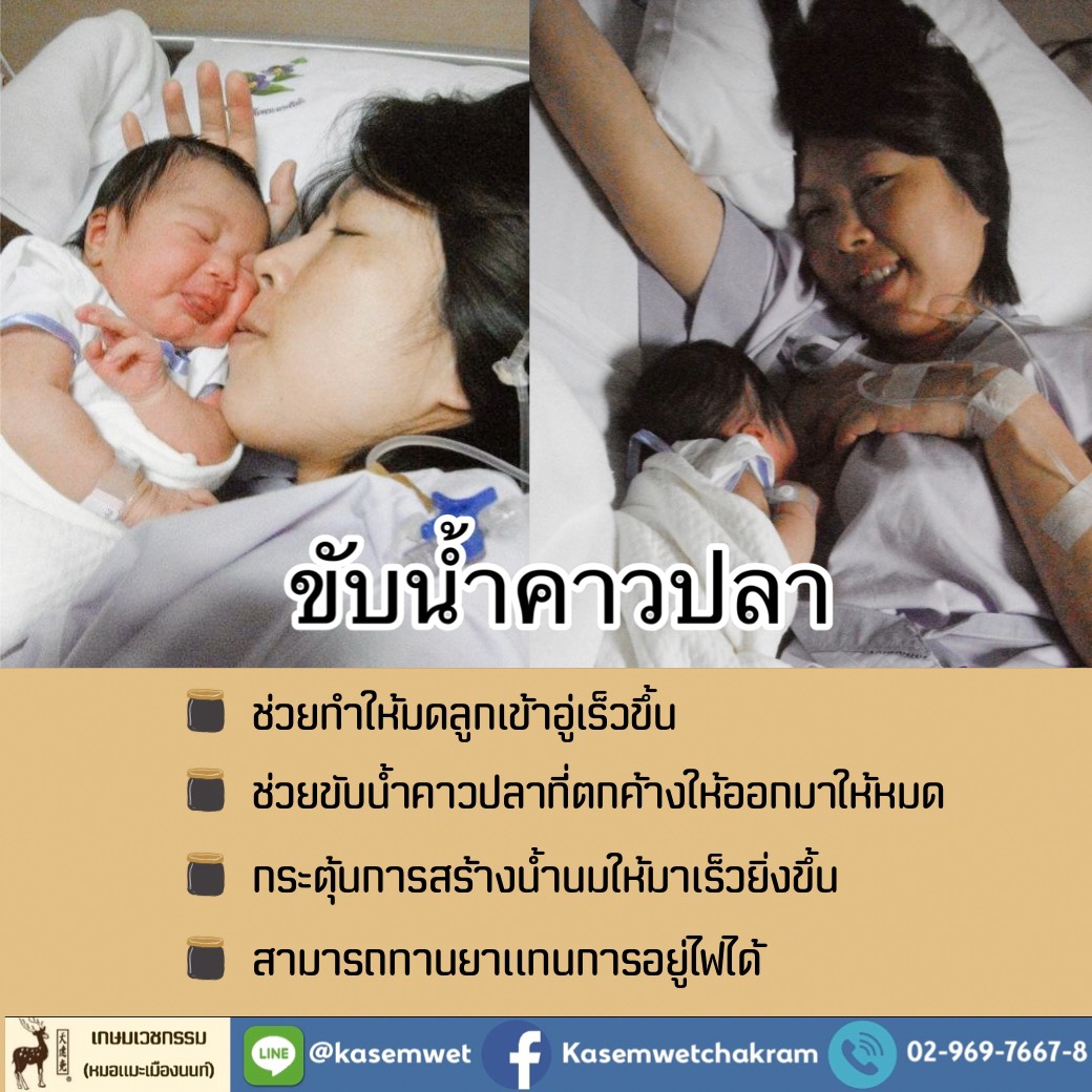 ยาขับน้ำคาวปลา