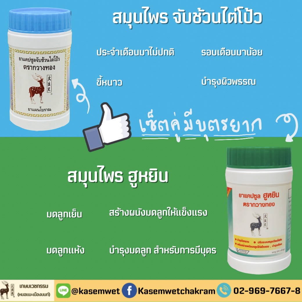 เซตมีบุตรยากของคุณผู้หญิง
